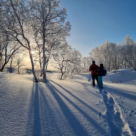 Ringstad Resort Bo (Nordland) Zewnętrze zdjęcie