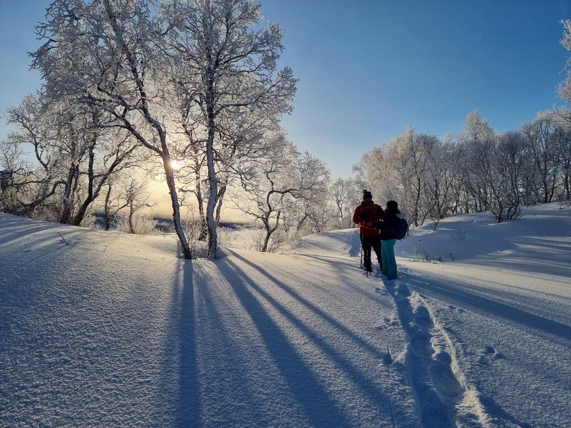 Ringstad Resort Bo (Nordland) Zewnętrze zdjęcie