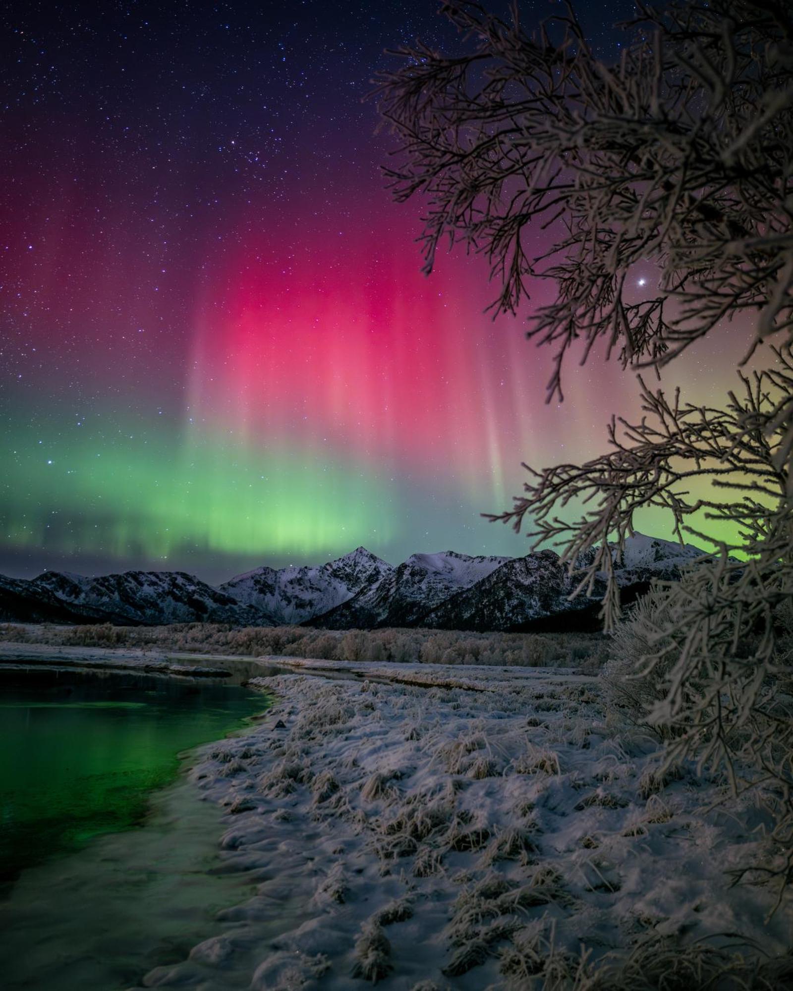 Ringstad Resort Bo (Nordland) Zewnętrze zdjęcie