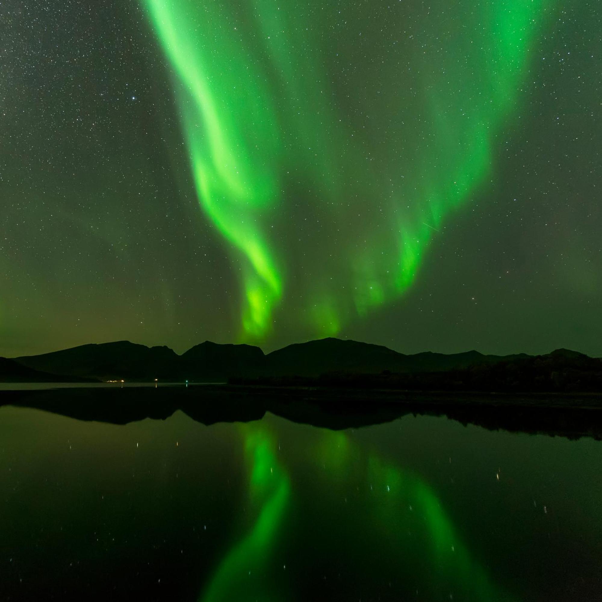 Ringstad Resort Bo (Nordland) Zewnętrze zdjęcie